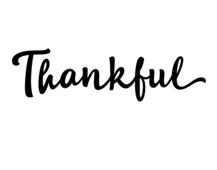 BB1C3F66-0EF3-4374-809C-31E3CDB1DE92